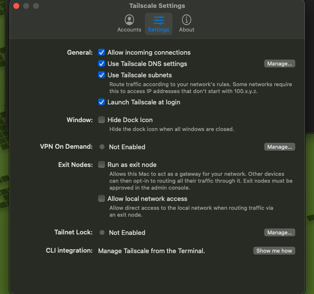 本次 Mac 的 Tailscale Settings，允許 incoming、DNS 與開機啟動